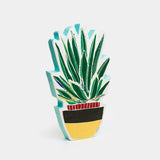 Aloe in cartapesta #novità 2026