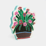 Cactus orchidea #novità 2026