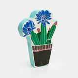 Cactus fiorito azzurro #novità 2026