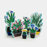 Cactus fiorito azzurro #novità 2026