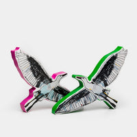 Airone